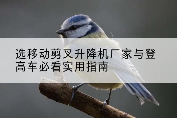 垣曲电动升降机厂家-选移动剪叉升降机厂家与登高车必看实用指南