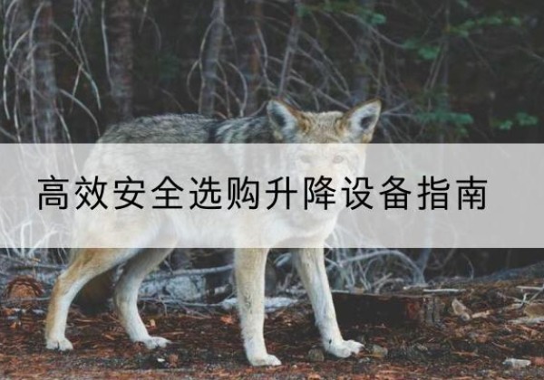 垣曲升降货梯厂家推荐-*安全选购升降设备指南
