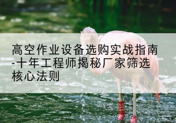 垣曲剪叉式升降机厂家-高空作业设备选购实战指南-十年工程师揭秘厂家筛选核心法则